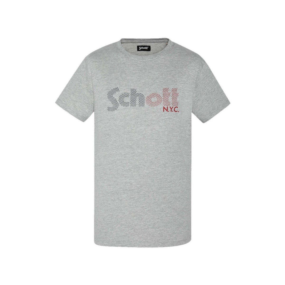 Abbigliamento Uomo T-shirt & Polo Schott TSSTAR22 Grigio