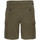 Abbigliamento Uomo Shorts / Bermuda Schott TRBURBON30RP Verde