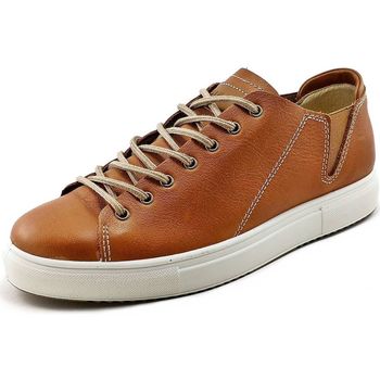 Scarpe Uomo Sneakers IgI&CO Sneaker Uomo Sacha 1620822 Marrone-Cuoio