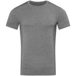 Abbigliamento Uomo T-shirts a maniche lunghe Stedman Race Grigio