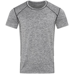Abbigliamento Uomo T-shirts a maniche lunghe Stedman Sports Grigio
