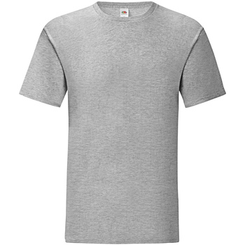 Abbigliamento Uomo T-shirts a maniche lunghe Fruit Of The Loom SS430 Grigio