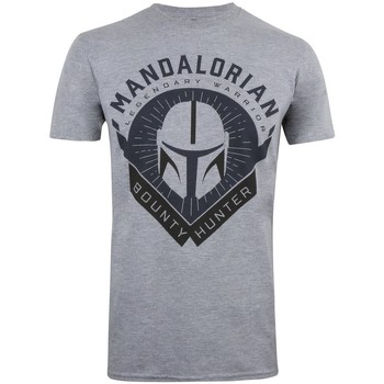 Abbigliamento Uomo T-shirts a maniche lunghe Star Wars: The Mandalorian  Grigio