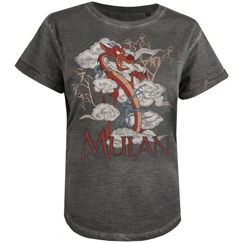 Abbigliamento Donna T-shirts a maniche lunghe Mulan TV1132 Grigio