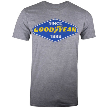 Abbigliamento Uomo T-shirts a maniche lunghe Goodyear  Grigio