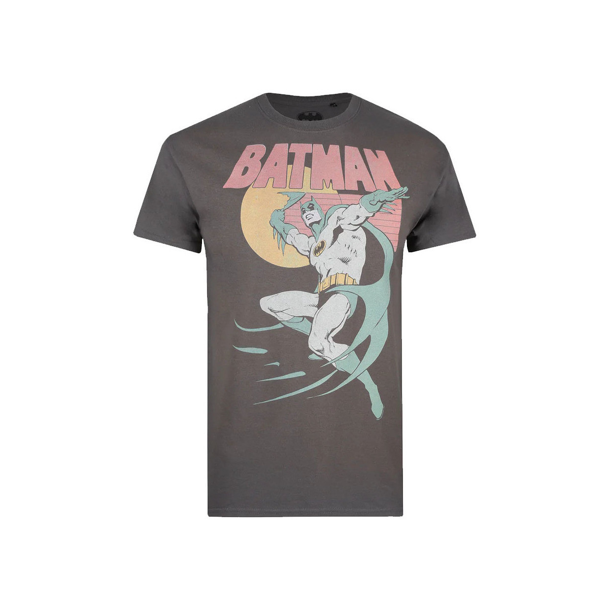 Abbigliamento Uomo T-shirts a maniche lunghe Dessins Animés 70's Multicolore