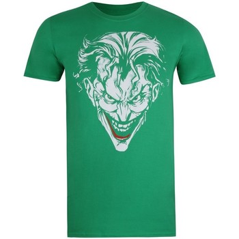 Abbigliamento Uomo T-shirts a maniche lunghe Dessins Animés  Verde