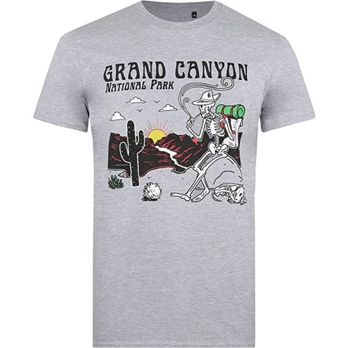 Abbigliamento Uomo T-shirts a maniche lunghe National Parks Grand Canyon Grigio