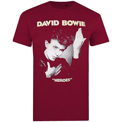 Abbigliamento Uomo T-shirts a maniche lunghe David Bowie We Can Be Heroes Just For One Day Multicolore