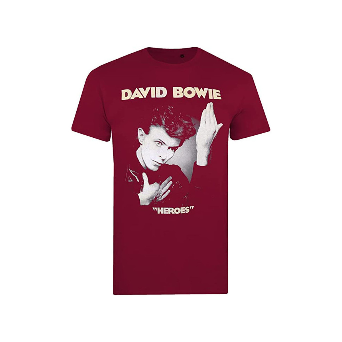 Abbigliamento Uomo T-shirts a maniche lunghe David Bowie We Can Be Heroes Just For One Day Multicolore