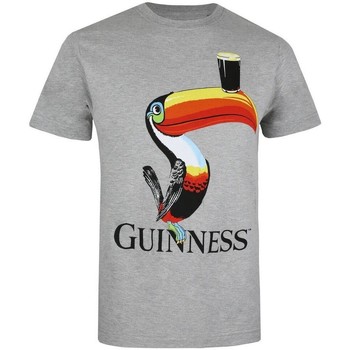 Abbigliamento Uomo T-shirts a maniche lunghe Guinness TV1329 Grigio