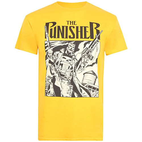 Abbigliamento Uomo T-shirts a maniche lunghe The Punisher TV1375 Multicolore