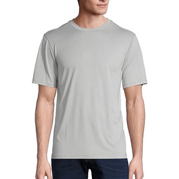 Abbigliamento Uomo T-shirts a maniche lunghe Haynes Perfect Weekend Grigio