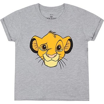 Abbigliamento Donna T-shirts a maniche lunghe The Lion King TV1525 Grigio