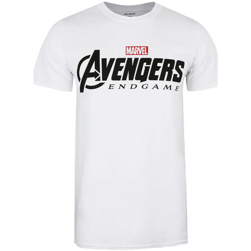 Abbigliamento Uomo T-shirts a maniche lunghe Avengers Endgame TV1600 Bianco