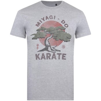 Abbigliamento Uomo T-shirts a maniche lunghe Cobra Kai Miyagi Do Grigio