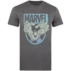 Abbigliamento Uomo T-shirts a maniche lunghe Hulk Force Multicolore
