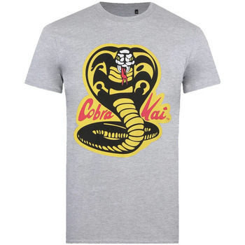 Abbigliamento Uomo T-shirts a maniche lunghe Cobra Kai TV384 Grigio