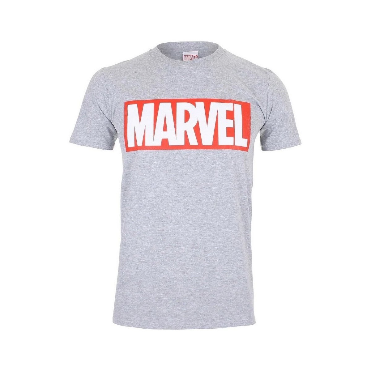 Abbigliamento Uomo T-shirts a maniche lunghe Marvel Core Grigio