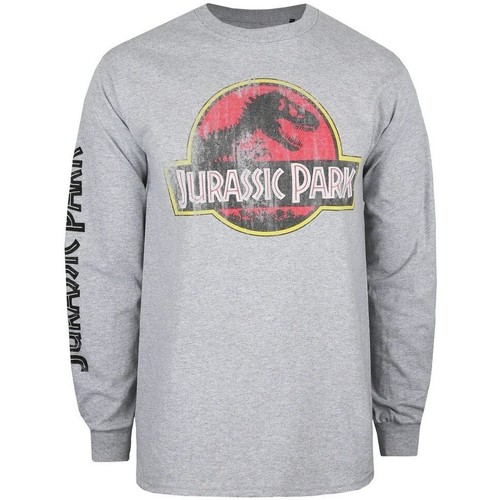 Abbigliamento Uomo T-shirts a maniche lunghe Jurassic Park TV427 Grigio