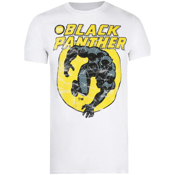Abbigliamento Uomo T-shirts a maniche lunghe Black Panther  Multicolore