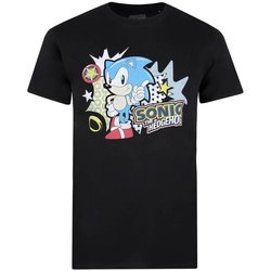 Abbigliamento Uomo T-shirts a maniche lunghe Sonic The Hedgehog TV514 Nero