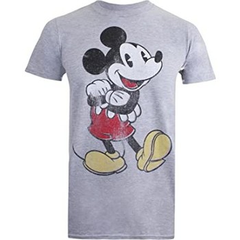 Abbigliamento Uomo T-shirts a maniche lunghe Disney TV533 Grigio