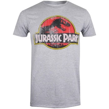 Abbigliamento Uomo T-shirts a maniche lunghe Jurassic Park TV606 Grigio