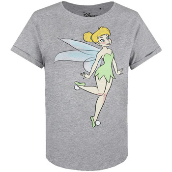 Abbigliamento Donna T-shirts a maniche lunghe Tinkerbell  Grigio