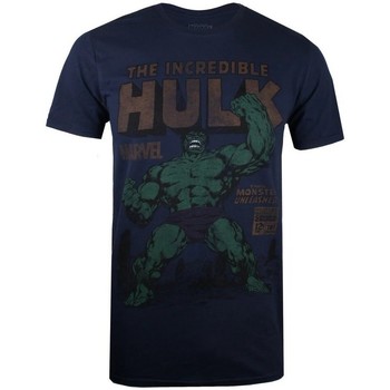 Abbigliamento Uomo T-shirts a maniche lunghe Hulk  Blu