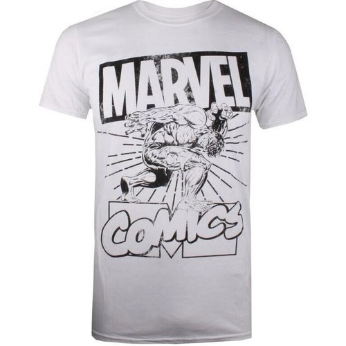 Abbigliamento Uomo T-shirts a maniche lunghe Hulk  Nero