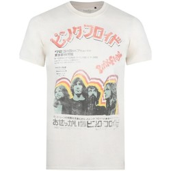 Abbigliamento Uomo T-shirts a maniche lunghe Pink Floyd TV971 Beige