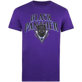 Abbigliamento Uomo T-shirts a maniche lunghe Black Panther  Viola