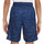 Abbigliamento Bambino Shorts / Bermuda Nike DA0264-492 Blu
