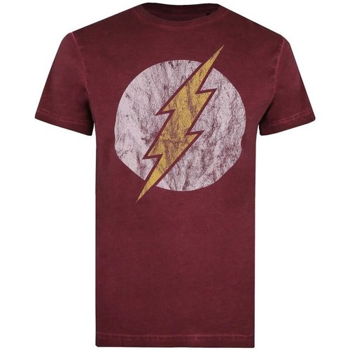 Abbigliamento Uomo T-shirts a maniche lunghe Flash TV1087 Multicolore