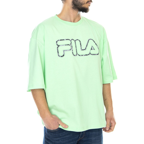 Abbigliamento Uomo T-shirt & Polo Fila Nik Oversized Tee Verde