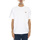 Abbigliamento Uomo T-shirt & Polo Dickies Mapleton Bianco