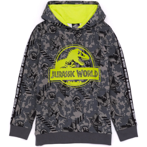 Abbigliamento Unisex bambino Felpe Jurassic World NS6824 Multicolore