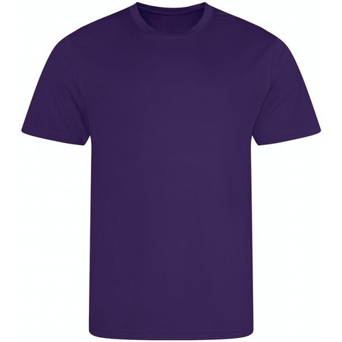 Abbigliamento T-shirts a maniche lunghe Awdis Cool PC4718 Viola
