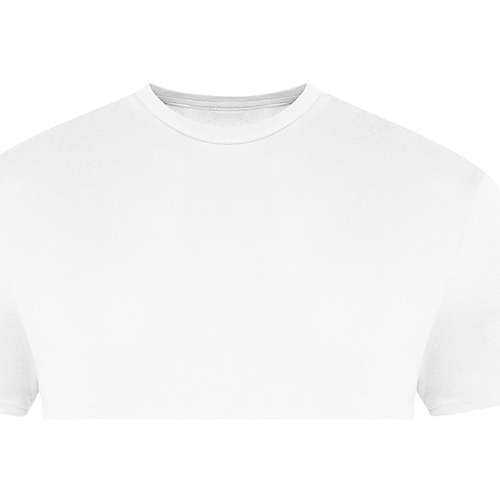 Abbigliamento T-shirts a maniche lunghe Awdis The 100 Bianco