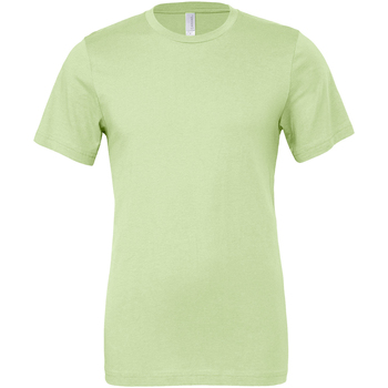 Abbigliamento T-shirts a maniche lunghe Bella + Canvas CV001 Verde