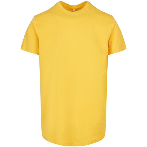 Abbigliamento Uomo T-shirts a maniche lunghe Build Your Brand Basic Multicolore