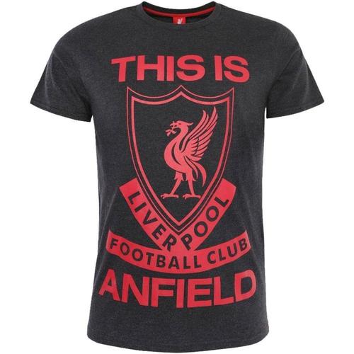 Abbigliamento Uomo T-shirts a maniche lunghe Liverpool Fc This Is Anfield Rosso