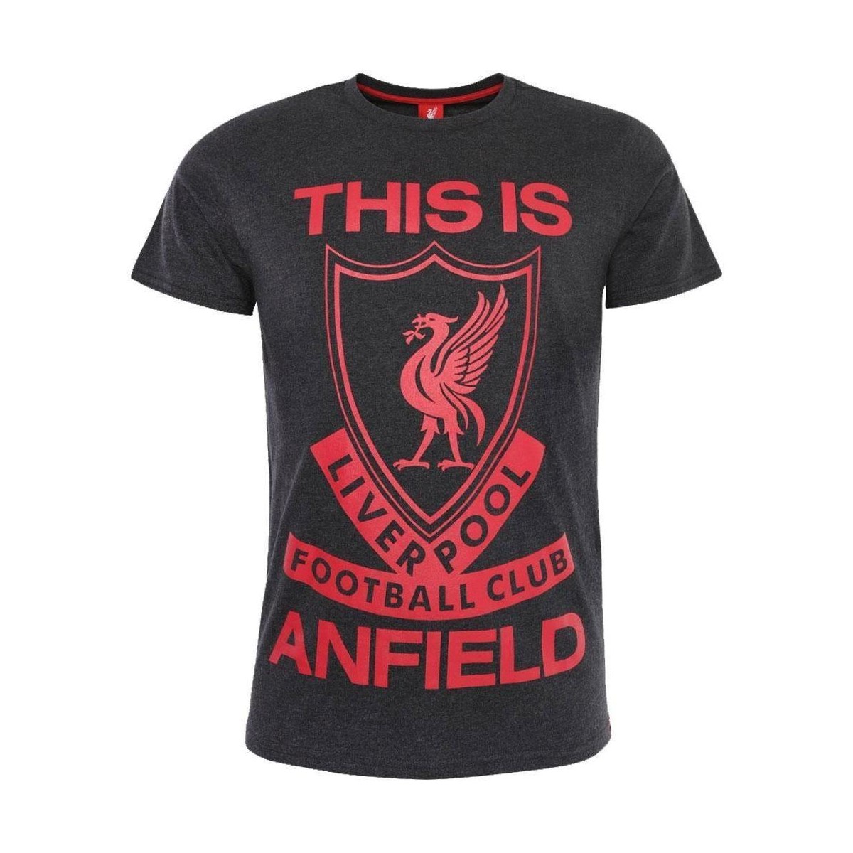 Abbigliamento Uomo T-shirts a maniche lunghe Liverpool Fc This Is Anfield Rosso