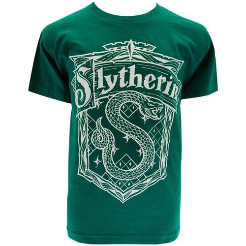 Abbigliamento Unisex bambino T-shirts a maniche lunghe Harry Potter TA9472 Verde