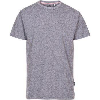Abbigliamento Uomo T-shirts a maniche lunghe Trespass TP5721 Grigio