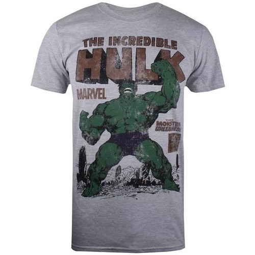 Abbigliamento Uomo T-shirts a maniche lunghe Hulk Rage Grigio