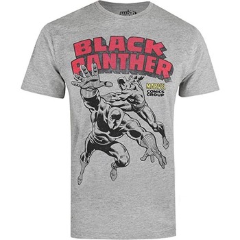 Abbigliamento Uomo T-shirts a maniche lunghe Black Panther  Grigio