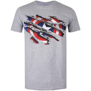 Abbigliamento Bambino T-shirt maniche corte Captain America  Grigio