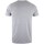 Abbigliamento Bambino T-shirt maniche corte Captain America TV462 Grigio